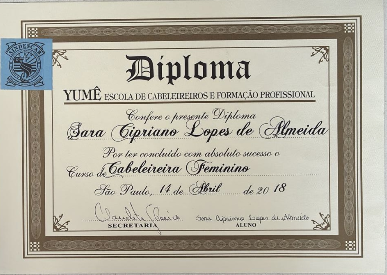 Diploma de formación profesional de Sari en Brasil